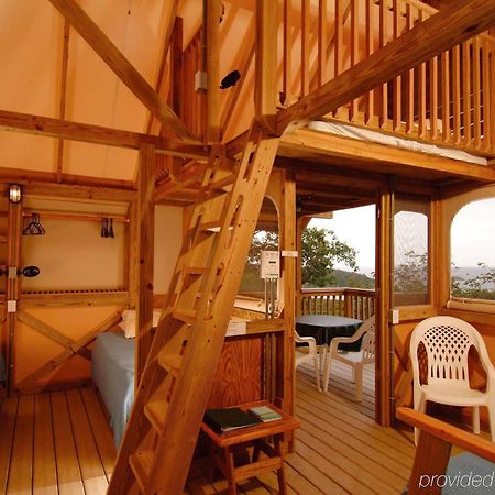 Concordia Eco Resort Oda fotoğraf