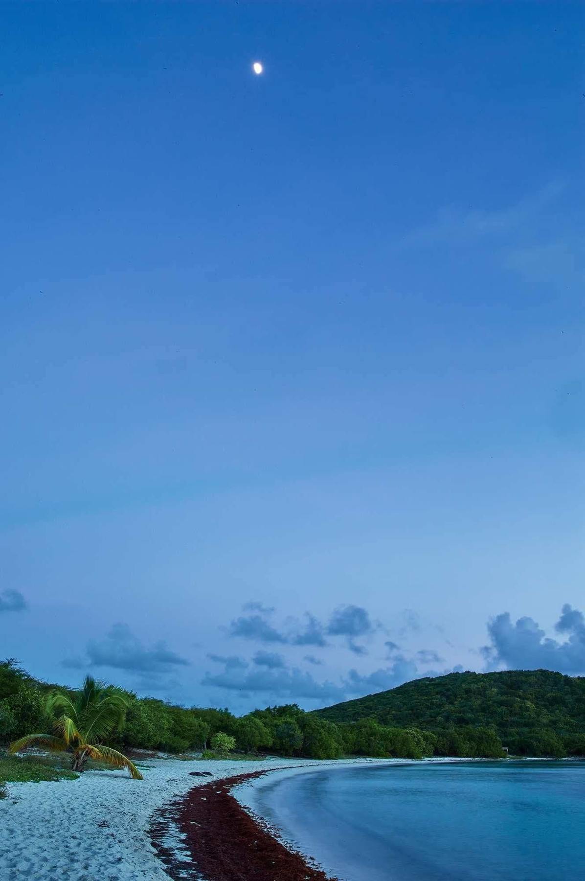 Concordia Eco Resort Dış mekan fotoğraf
